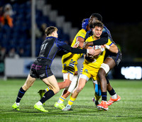 Warriors v Zebre