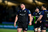 Warriors v Zebre