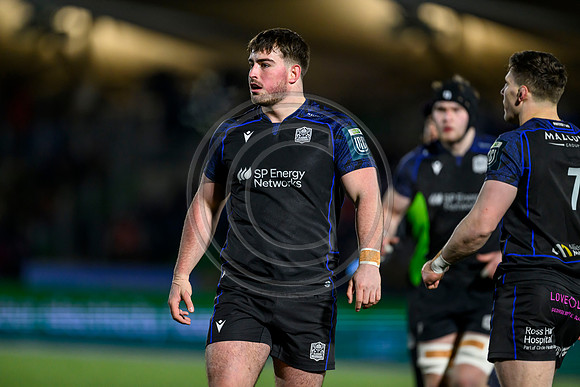 Warriors v Zebre