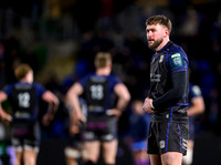 Warriors v Zebre