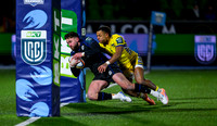 Warriors v Zebre