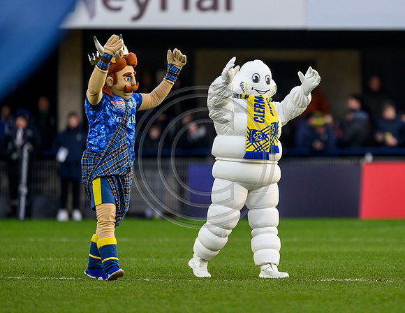 Clermont v Warriors