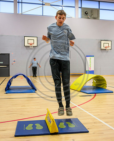 Scottish Disability Sport