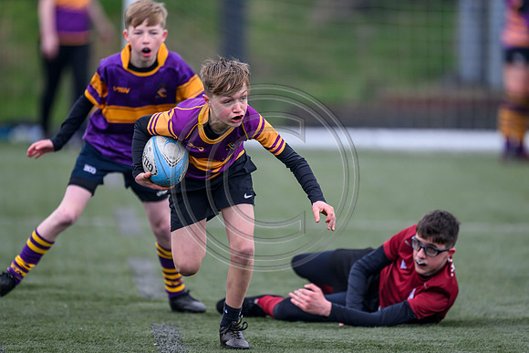 SPEN Semi-Final