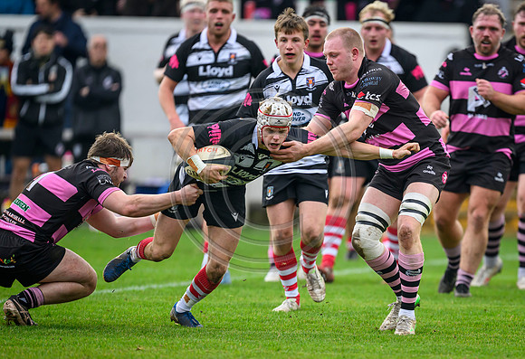 Ayr v Kelso