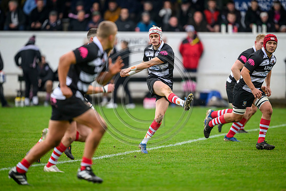 Ayr v Kelso