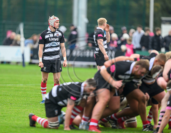 Ayr v Kelso