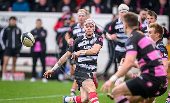 Ayr v Kelso