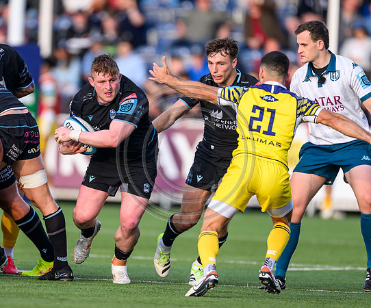 Warriors v Zebre