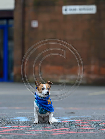 Scotland Training