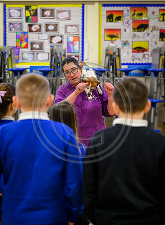 Scotland Training