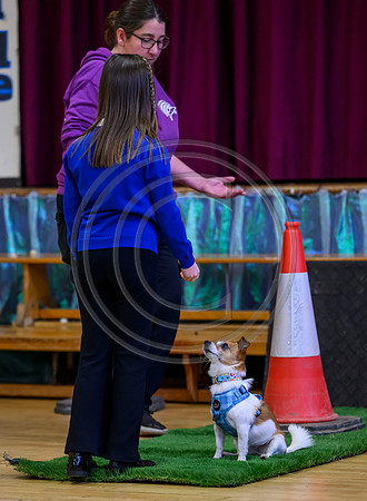 Scotland Training