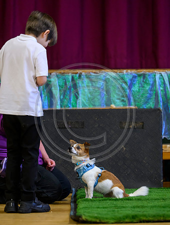 Scotland Training
