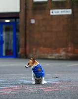 Scotland Training