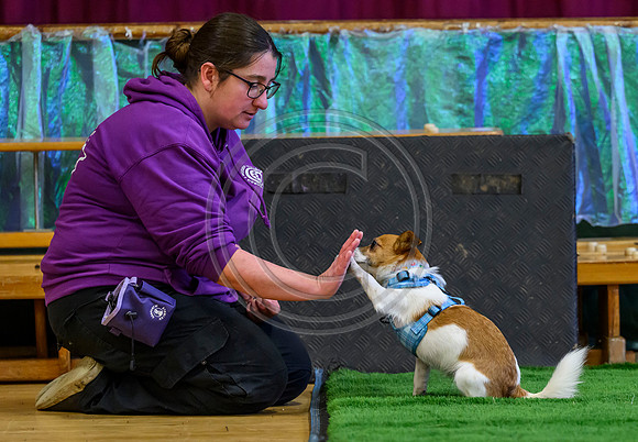 Scotland Training