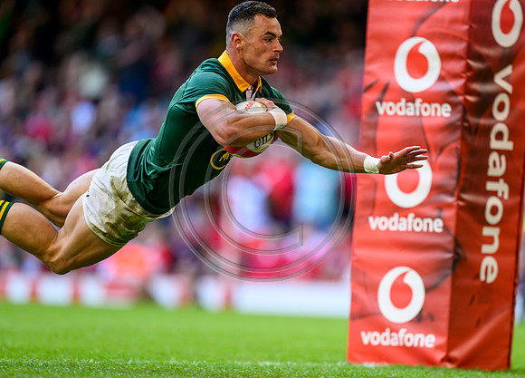 Wales v South Africa