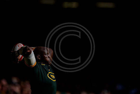 Wales v South Africa