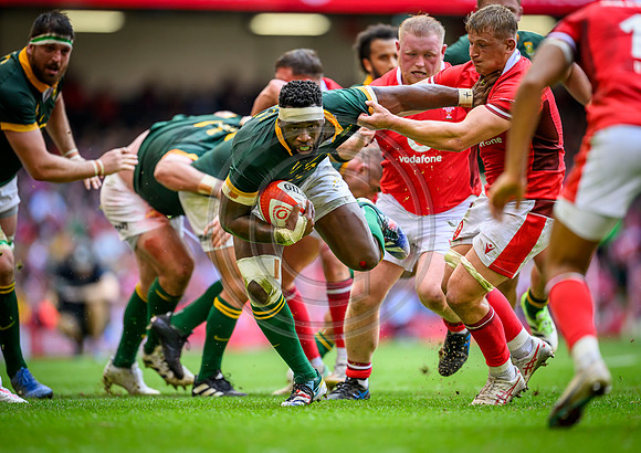 Wales v South Africa