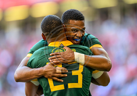 Wales v South Africa
