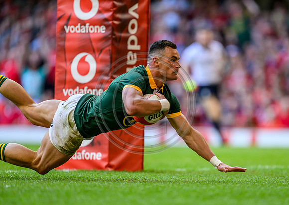 Wales v South Africa