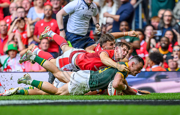 Wales v South Africa