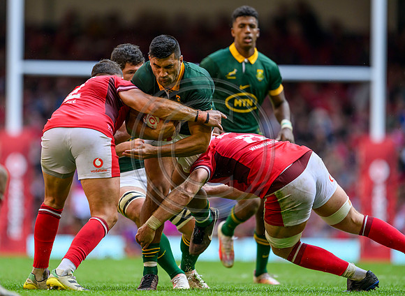 Wales v South Africa