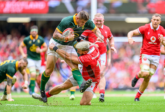 Wales v South Africa