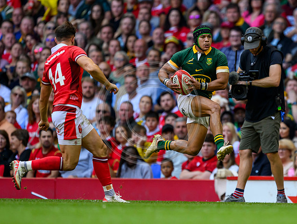 Wales v South Africa