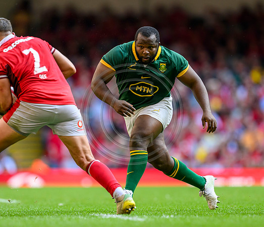 Wales v South Africa