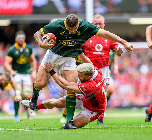 Wales v South Africa
