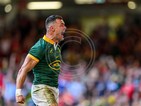 Wales v South Africa