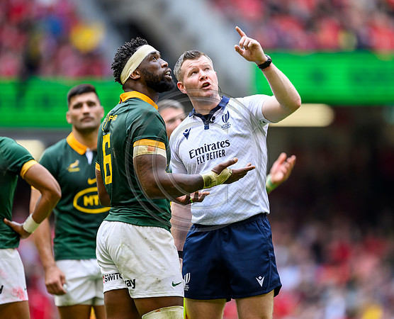 Wales v South Africa