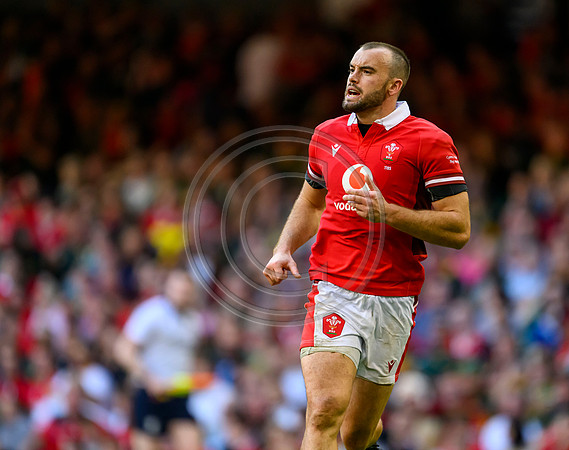 Wales v South Africa