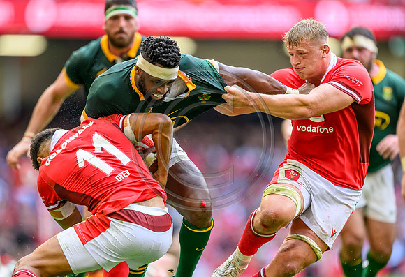 Wales v South Africa