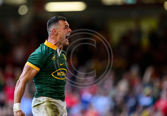 Wales v South Africa