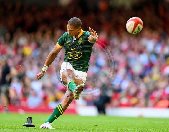 Wales v South Africa