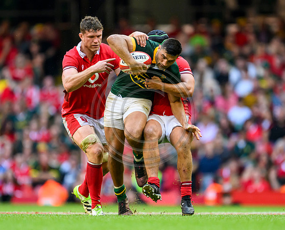 Wales v South Africa