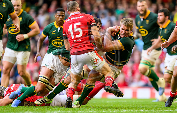 Wales v South Africa