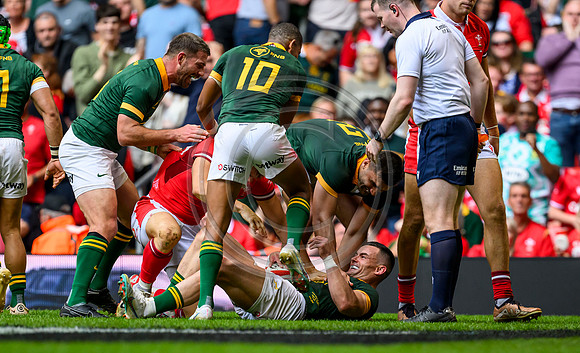 Wales v South Africa