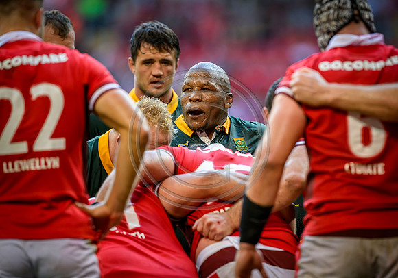 Wales v South Africa