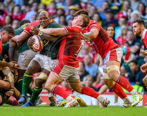 Wales v South Africa