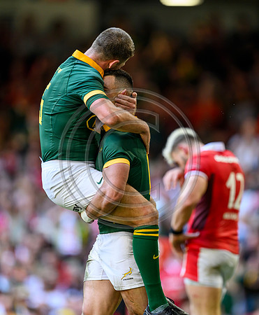 Wales v South Africa