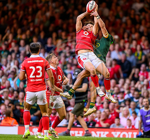 Wales v South Africa