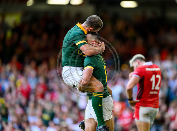 Wales v South Africa