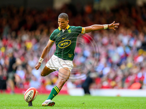 Wales v South Africa