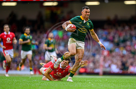 Wales v South Africa