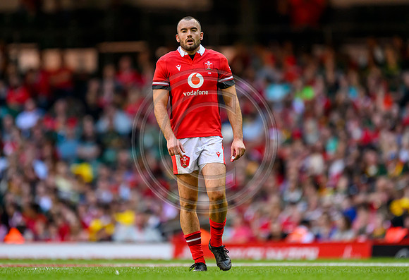 Wales v South Africa