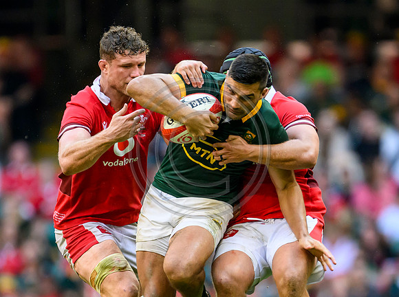 Wales v South Africa