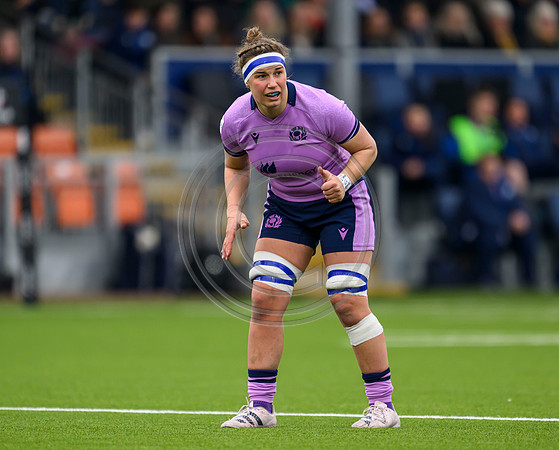 Scotland v Italy