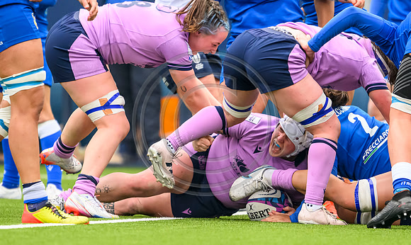 Scotland v Italy